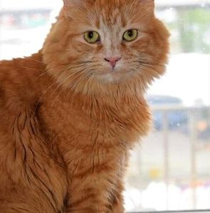 Meet your Posher, Jeff